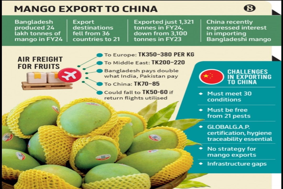 চীনকে আম রপ্তানির নতুন গন্তব্য বানাতে চায় বাংলাদেশ