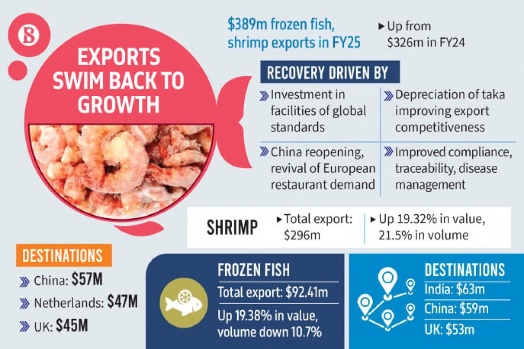 হিমায়িত মাছ ও চিংড়ি রপ্তানিতে ১৯ শতাংশ প্রবৃদ্ধি, শীর্ষ গন্তব্য ভারত ও চীন