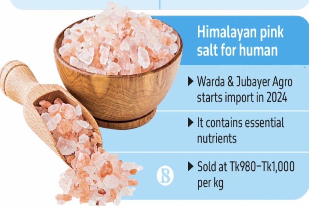 পিংক সল্ট: চট্টগ্রামের তরুণ উদ্যোক্তার হাত ধরে নতুন ব্যবসায়ের সূচনা